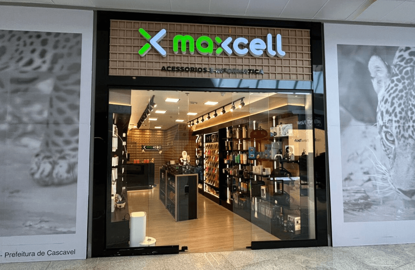 Foto da MaxCell