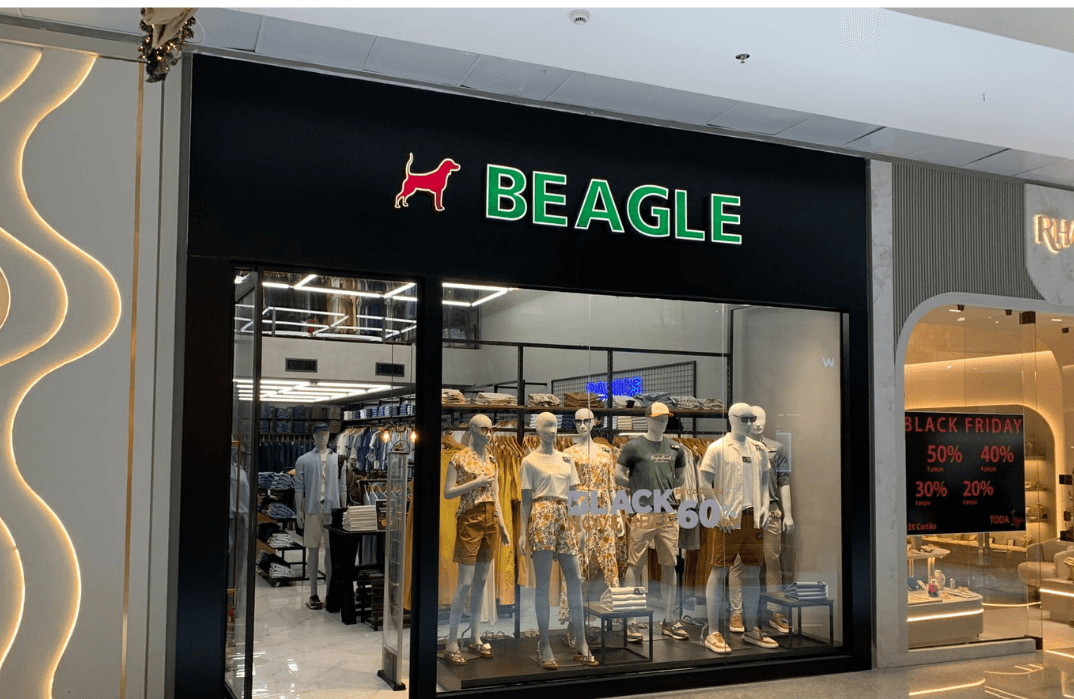 beagle 
