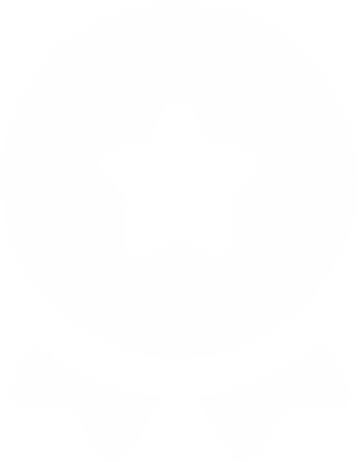 Imagem de uma estrela dentro de um círculo, com duas tiras embaixo imitando uma medalha